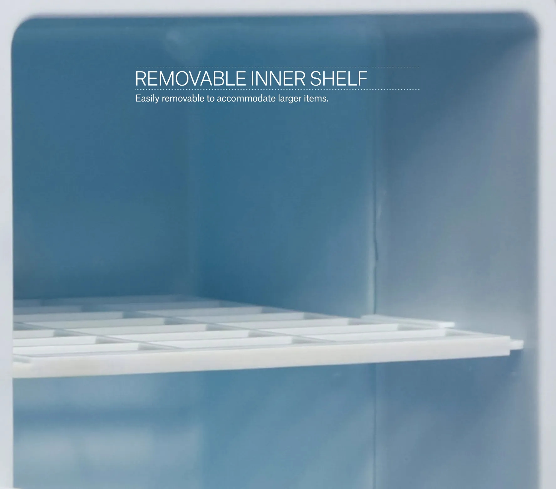 Beauty fridge