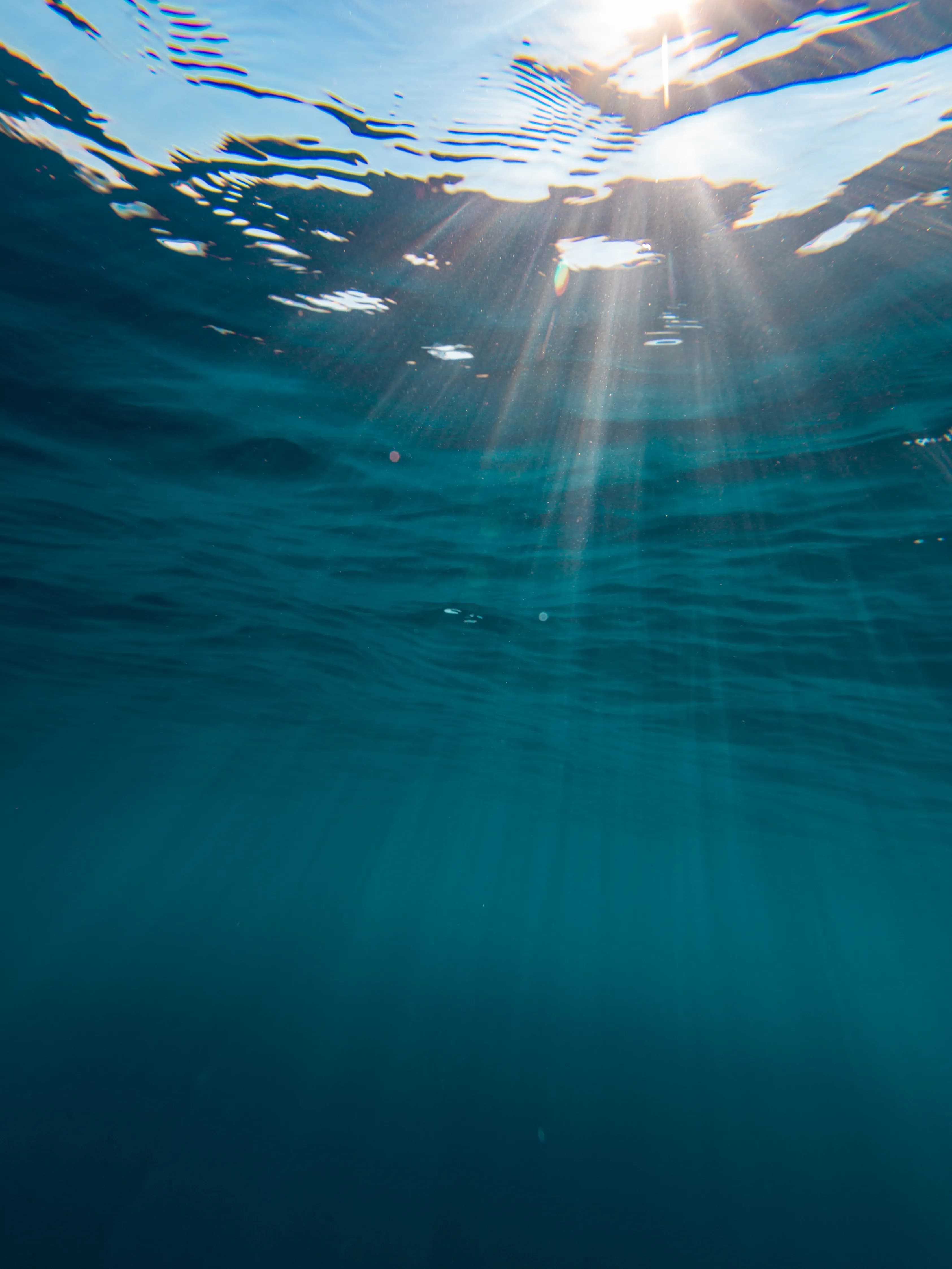 Reef-Safe Formulas Skin protection without harming the oceans.